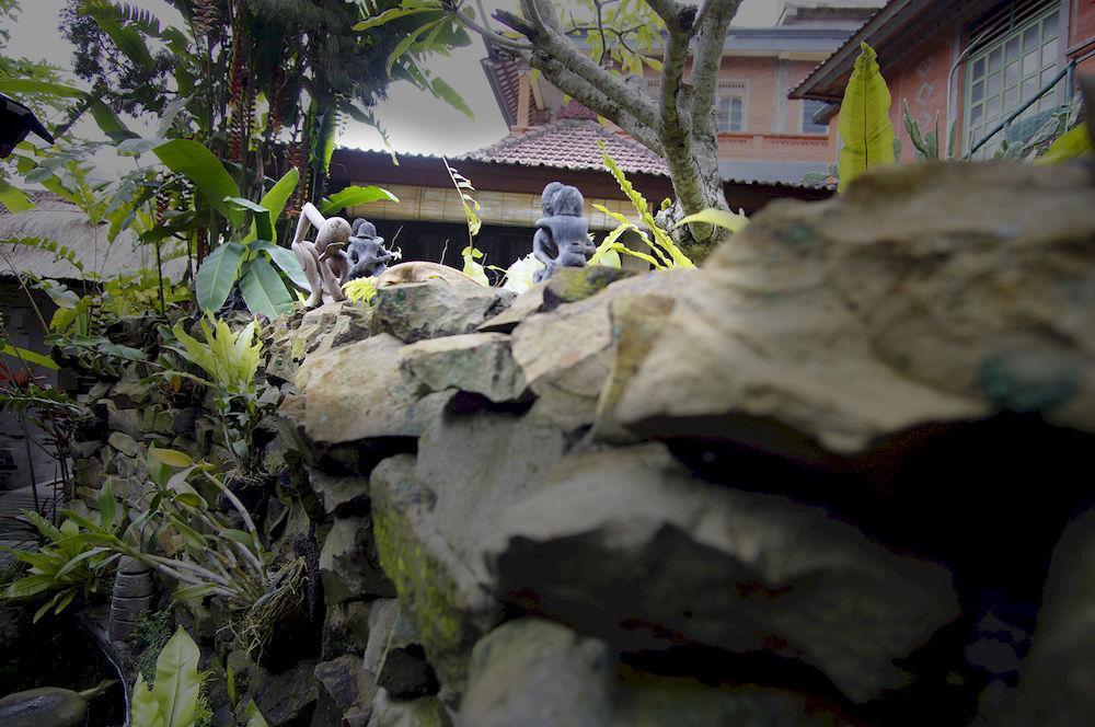 Okawati Boutique Bungalows Ubud Extérieur photo
